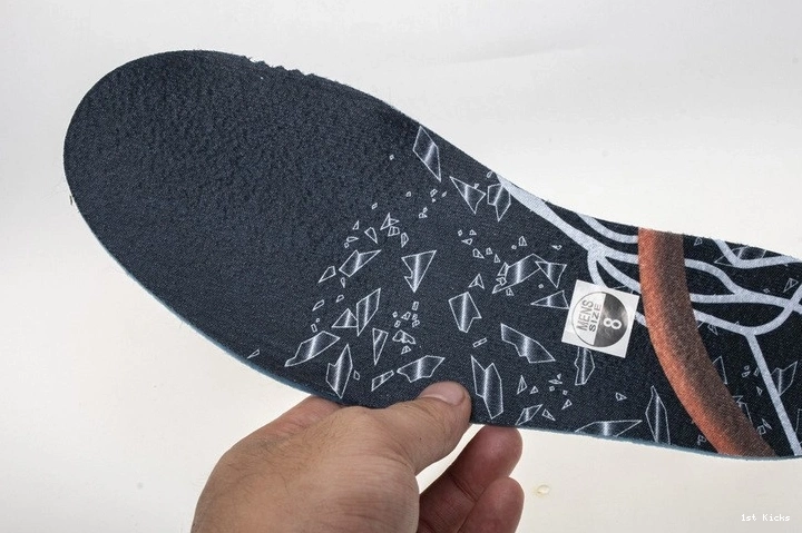 Shattered OG Jordan 1 555088-005 Retro Air Backboard 0319